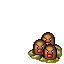 Dugtrio